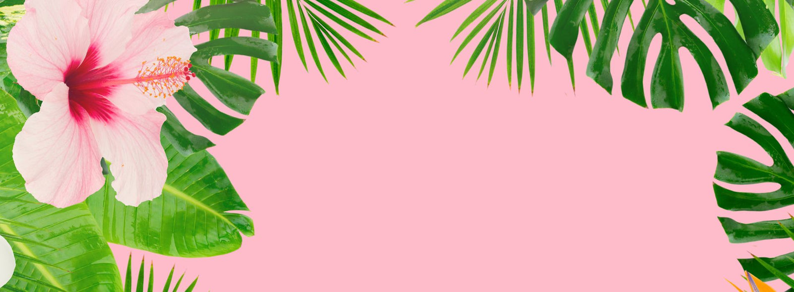 boutique-decoration-tropicale