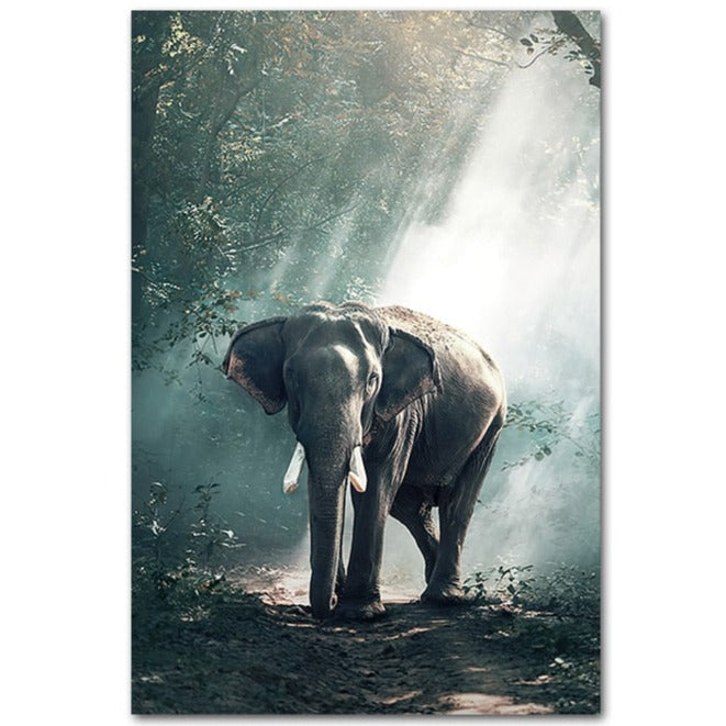 Affiche éléphant